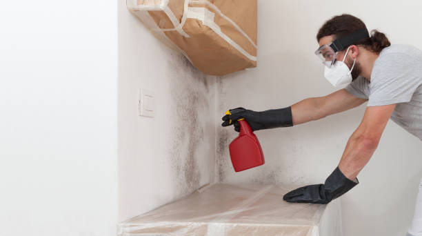 Professional Bathroom Mold Removal technician working in Montvale, NJ